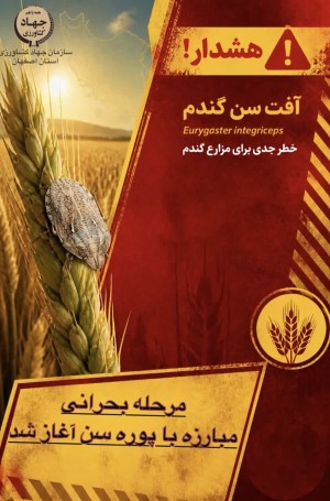 مرحله بحرانی مبارزه با پوره سن آغاز شد