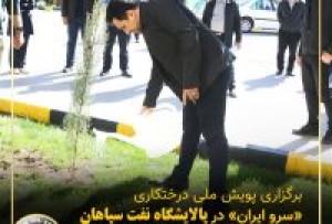 برگزاری پویش ملی درختکاری «سرو_ایران» در پالایشگاه نفت سپاهان