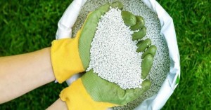 توزیع گسترده کود یارانه‌ای در استان اصفهان