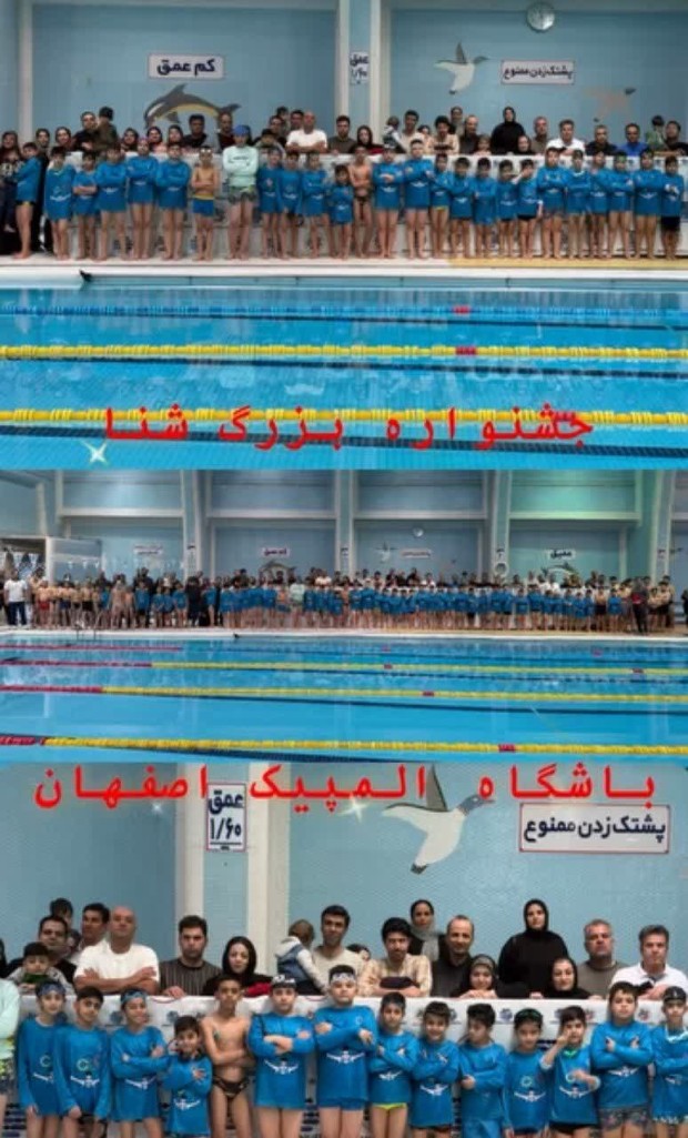 جشنواره شنا باشگاه المپیک