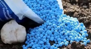 تأمین بیش از ۴۰ هزار تن انواع کودهای یارانه‌ای در استان اصفهان