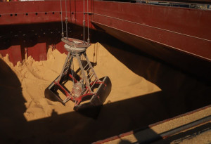 برنامه بلندمدت برای کاهش واردات برخی از کالاهای اساسی