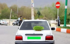 ممنوعیت گذاشتن سبزه روی خودرو در روز طبیعت