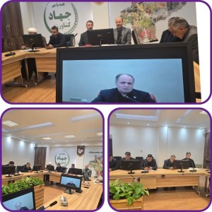 آرامش کامل در بازار مواد غذایی