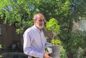 اهدای «درختان قرآنی» برای ترویج سبک زندگی نورانی