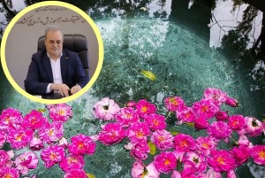 شمیم افتخار و سرمایه سبز ایران زمین