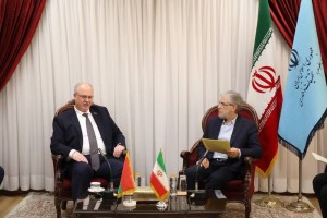 همکاری با کشورهای منطقه از اولویت‌های راهبردی ایران است