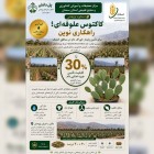 کاکتوس علوفه‌ای؛ راهکاری نوین برای تأمین پایدار خوراک دام در مناطق خشک