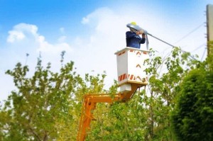 اجرای مستمر عملیات سرویس و تعمیرات روشنایی در سمیرم