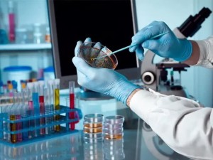 فولاد مبارکه یاور سلامت اصفهان