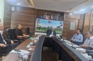 بررسی مسائل اتحادیه خدمات فنی سبک