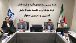 بررسی راهکارهای تأمین و قیمت‌گذاری ذرت علوفه ای