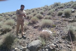 مرتع ییلاقی گزوار منطقه حفاظت شده یخاب