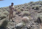 مرتع ییلاقی گزوار منطقه حفاظت شده یخاب