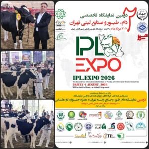 موفقیت شرکت کشت و دام قیام در جشنواره ملی گاو هلشتاین