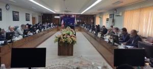 ارائه‌ گزارش در ۲۲امین جلسه ستاد حمایت از خانواده و جوانی جمعیت