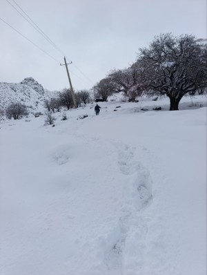 ستون اصلی پایداری شبکه