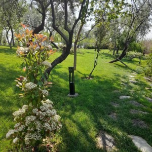 انرژی های تجدیدپذیر پاسداشت این زیبایی است