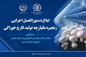 ابلاغ دستورالعمل اجرایی زنجیره یکپارچه تولید قارچ خوراکی