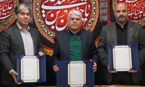ظرفیت ایرانیان خارج از کشور در اولویت برنامه راهبردی سازمان