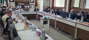 بررسی توسعه زیرساخت‌های برق‌رسانی