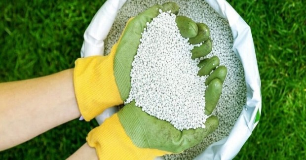 تأمین و توزیع۶۹هزار تن کود یارانه‌ای؛ پشتوانه تولید پایدار در استان اصفهان