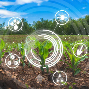 انرژی هسته‌ای نجات‌بخش کشاورزی و امنیت غذایی